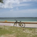 Blog01