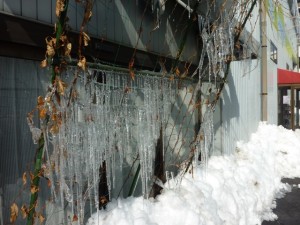 20140218つらら⑨