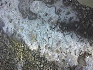 141203_093621-300x225