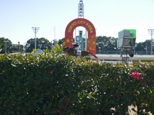 新年会競馬場２