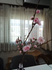 IMG_20150330_093007873