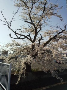 IMG_20150331_160033313