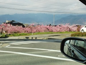 IMG_20150409_153324140