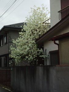 IMG_20150422_153703921