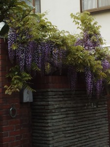 IMG_20150422_163610654