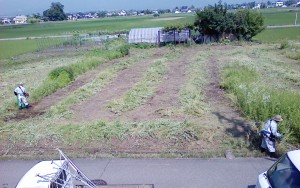 NEC_1656我が家前の耕作放棄地・草刈り作業中（H270625)