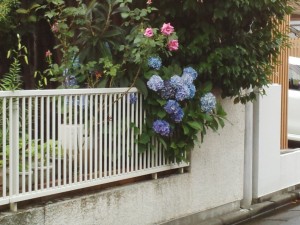 IMG_20150707_142053443