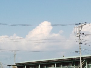 IMG_20150710_155708754