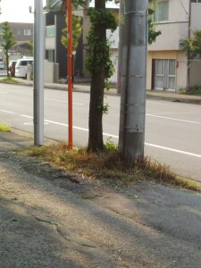 IMG_20150711_173004146