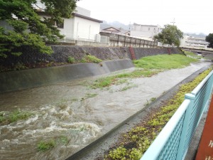 IMG_20150716_132446180