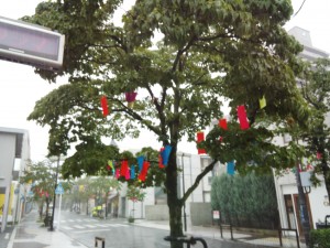 IMG_20150716_144746931