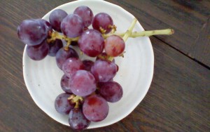 NEC_1654長野県生坂村産・幻のブドウ「紅伊豆」（H270910）」