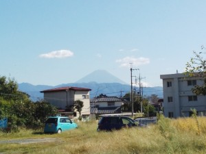 IMG_20151007_13513575