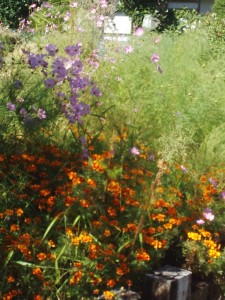 IMG_20151008_130125904