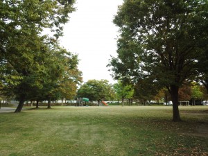 IMG_20151015_150116484