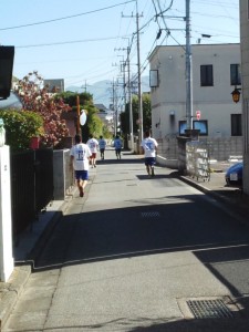 IMG_20151104_121855289