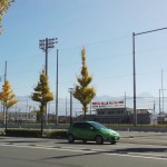 IMG_20151106_122327433