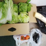 IMG_20151124_160420483