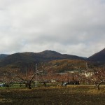 IMG_20151126_132842750