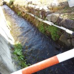 IMG_20151126_133729273