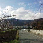 IMG_20151126_135435310