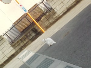 IMG_20151209_135838156