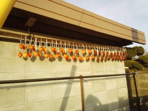 IMG_20151209_153157448