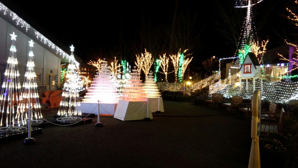 IMG_20160111_195352 (1)