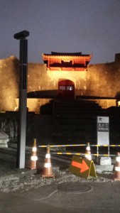 門(ﾗｲﾄｱｯﾌﾟ)①