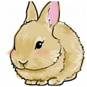 IMG_20160215_1501_52