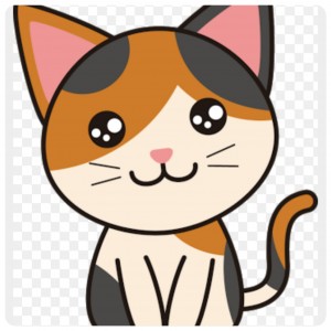 IMG_20160215_1502_50