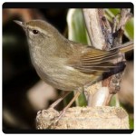 IMG_20160302_0756_46