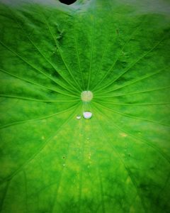 BestMe_20160629152630