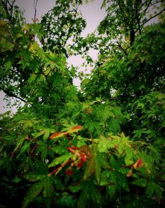 BestMe_20160629153111