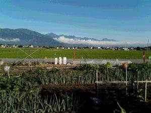 IMG_20160627_061711気まぐれ農園より眺めた常念岳