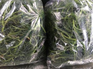 014b2b7354cbf9728aa3de0563854713696a7124a7