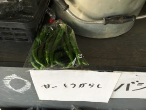 01e2d255ca58ca5e95500fb599d601d818845f44b0