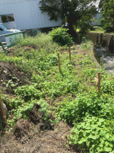 %e3%81%be%e9%a3%af%e7%94%b0%e5%a2%97%e7%af%89%ef%bc%91