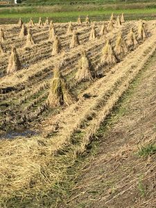 %e7%a7%8b%e3%81%ae%e9%a2%a8%e6%99%af%ef%bc%92