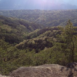 %e6%98%87%e4%bb%99%e5%b3%a1%e2%91%a0