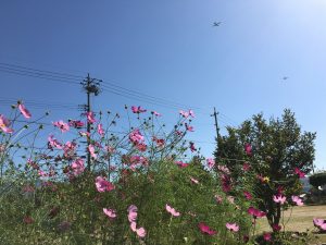 %e7%a7%8b%e3%81%ae%e9%a2%a8%e6%99%af%ef%bc%96