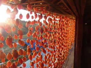 %e3%82%a8%e3%83%b3%e3%83%87%e3%82%a3%e3%83%b3%e3%82%b0%ef%bc%97