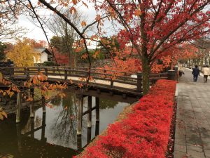 %e6%9d%be%e6%9c%ac%e2%91%a1