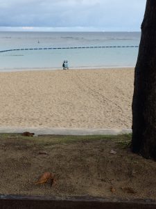 %e5%ae%9c%e9%87%8e%e6%b9%be%e2%91%a2