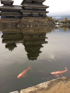 %e6%9d%be%e6%9c%ac%e2%91%a0