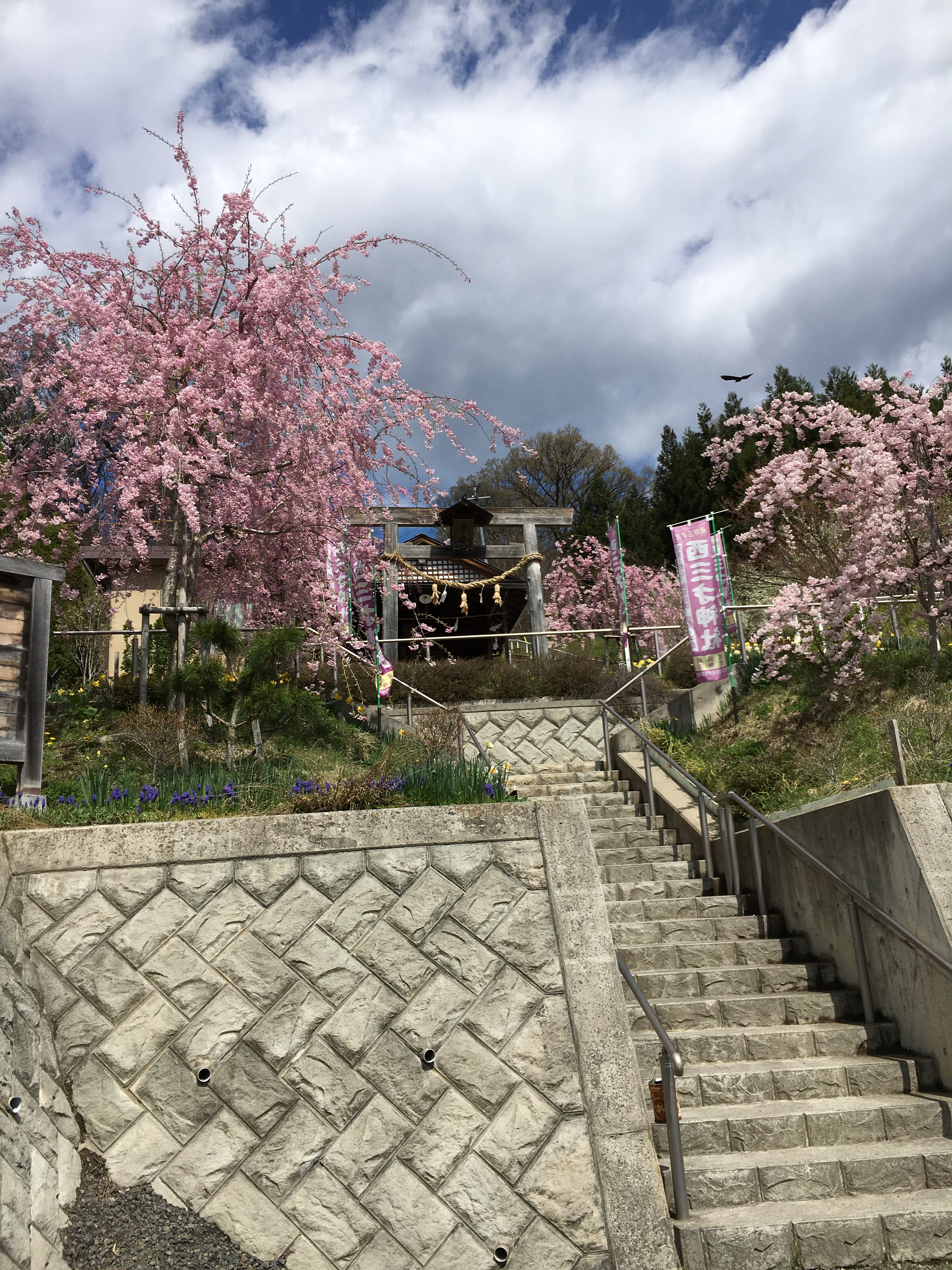 演歌歌手 加藤浩司さん出身地 長野市西三才をポスティング 山梨 長野 岐阜 福島 沖縄のポスティング チラシ配布 長野 松本 安曇野 上田 佐久 諏訪 飯田 甲府 韮崎 宮崎 沖縄 那覇 郡山 須賀川 本宮 白河 のまかせてグループ